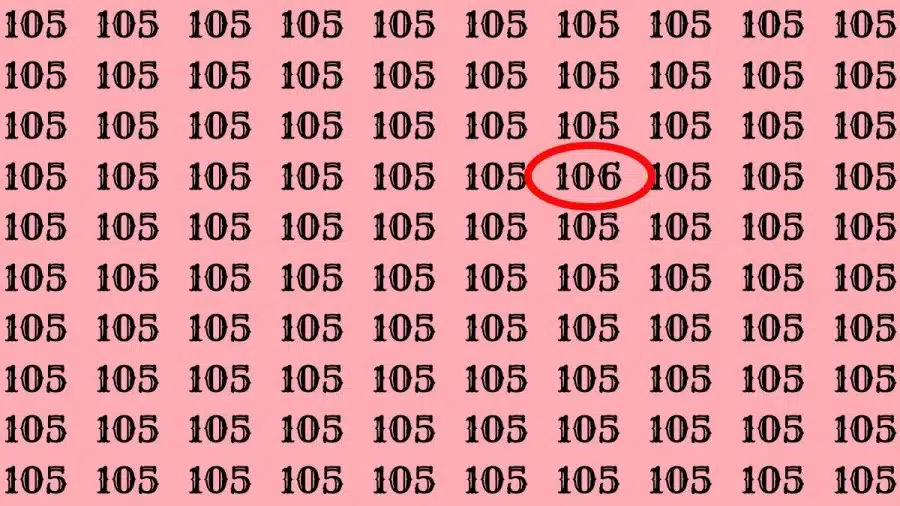 Test di osservazione: Riesci a trovare il numero 106 su 105 in 10 secondi?