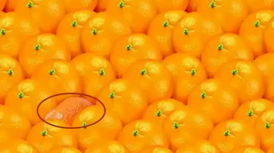 Illusione ottica che inganna gli occhi: Trova l'arancia nascosta tra queste arance in 10 secondi