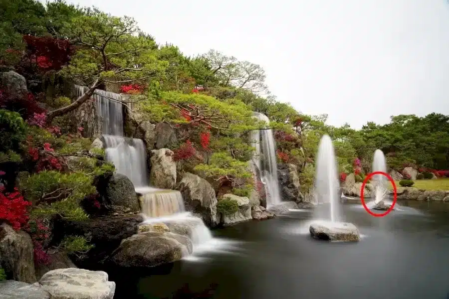 Riesci a trovare il pavone in questo giardino in 12 secondi? Illusioni ottiche Spiegazioni e soluzioni
