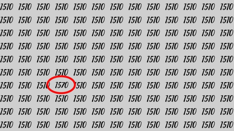 Riesci a trovare 1570 su 1510 in 30 secondi? Illusioni ottiche Spiegazioni e soluzioni