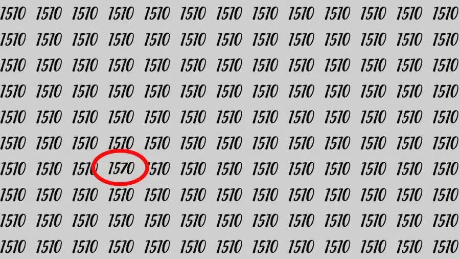 Riesci a trovare 1570 su 1510 in 30 secondi? Illusioni ottiche Spiegazioni e soluzioni