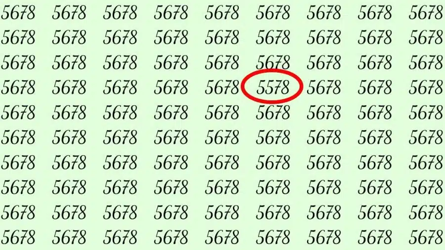 Riesci a trovare 5578 su 5678 in 30 secondi? Illusioni ottiche Spiegazioni e soluzioni
