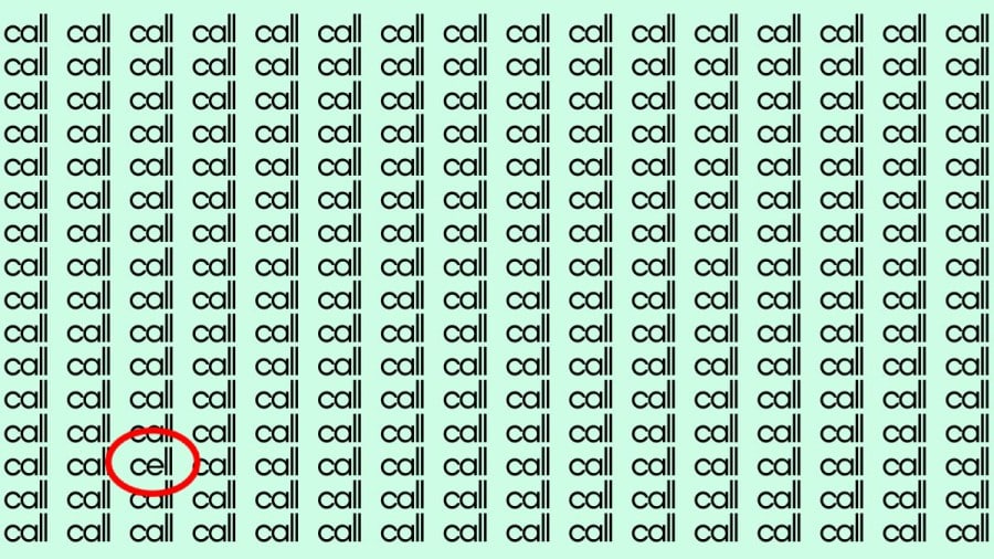 Test di osservazione: Se hai occhi d'aquila, trova la cella di parola in Call in 20 secondi.