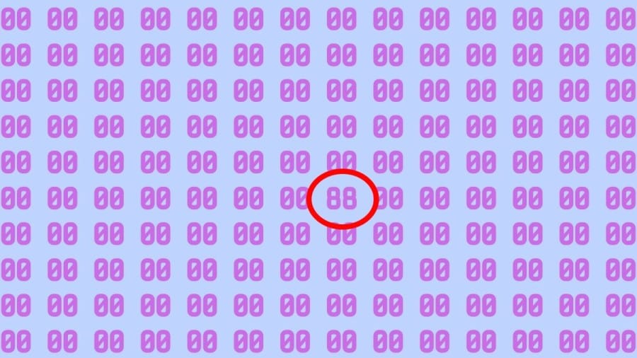 Test di osservazione: Riesci a trovare il numero 88 in 00 in 10 secondi?