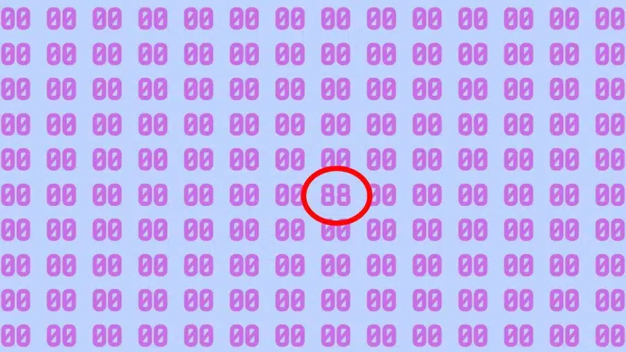 Test di osservazione: Riesci a trovare il numero 88 in 00 in 10 secondi?