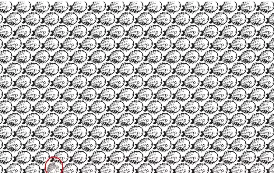 Illusione ottica: Riesci a trovare il porcospino tra i pesci in 8 secondi?