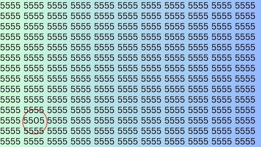 Abilità di osservazione: Riesci a trovare il numero 5505 in 5555 in 8 secondi?