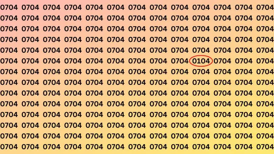 Test di capacità di osservazione: Riesci a trovare il numero 0704 in 0104 in 15 secondi?