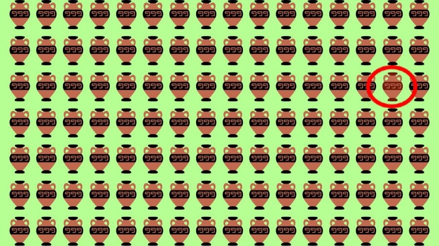 Test di capacità di osservazione: Riesci a individuare quale vaso è diverso in 10 secondi?