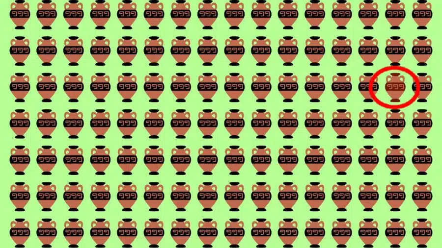 Test di capacità di osservazione: Riesci a individuare quale vaso è diverso in 10 secondi?