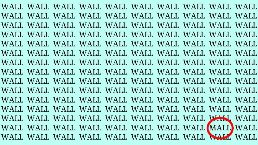 Illusione ottica: Se hai gli occhi dell'aquila, puoi trovare il Word Mall nel muro in 20 secondi