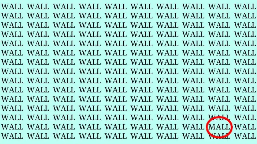 Illusione ottica: Se hai gli occhi dell'aquila, puoi trovare il Word Mall nel muro in 20 secondi