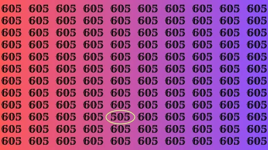 Test di osservazione: se hai la vista acuta, trova il numero 605 da 505 in 10 secondi