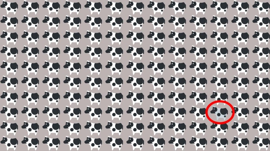 Test di capacità di osservazione: Riesci a trovare la strana mucca in 10 secondi?