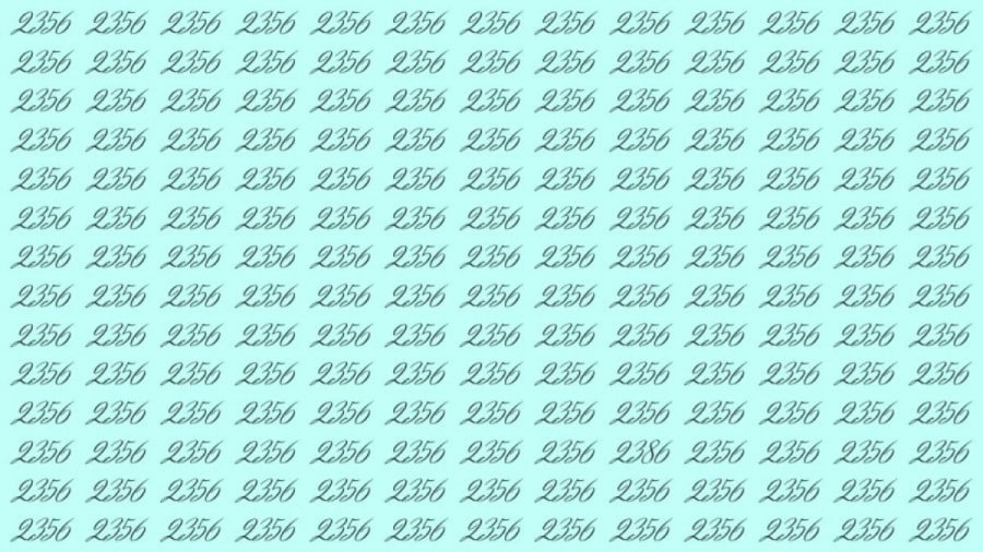 Test di capacità di osservazione: Riesci a trovare il numero 2356 tra 2386 in 10 secondi?