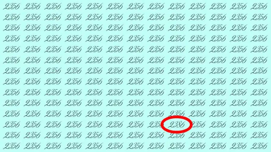 Test di capacità di osservazione: Riesci a trovare il numero 2356 tra 2386 in 10 secondi?