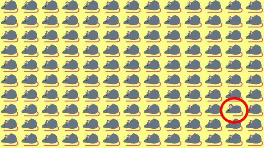 Test di osservazione: Riesci a notare la differenza in 10 secondi?