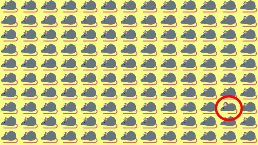 Test di osservazione: Riesci a notare la differenza in 10 secondi?