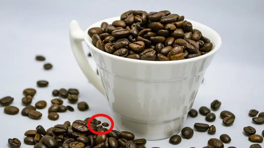 Test di illusione ottica del cervello: Trova i semi di anguria nei chicchi di caffè in 10 secondi