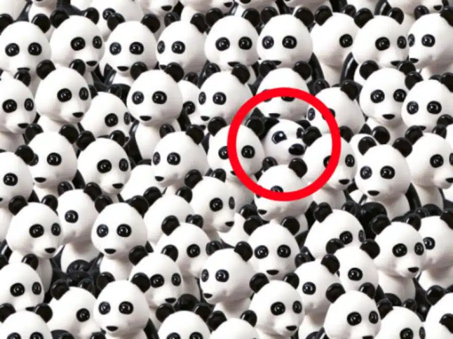 Test di visione a illusione ottica: Riesci a trovare il cane nascosto tra i panda in 5 secondi?