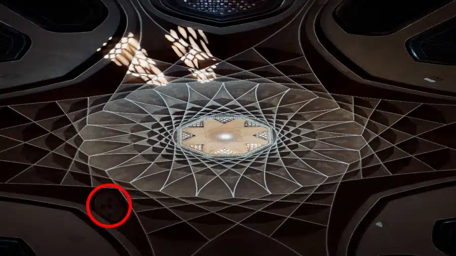 Illusione ottica: Riesci a trovare il teschio in 12 secondi per completare la sfida?