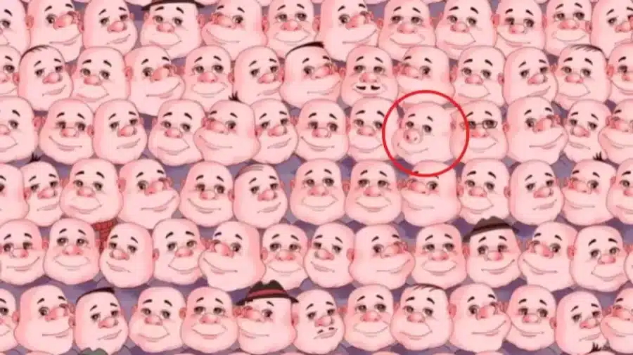 Illusione ottica: Riesci a trovare un maiale nascosto tra queste facce in 10 secondi?