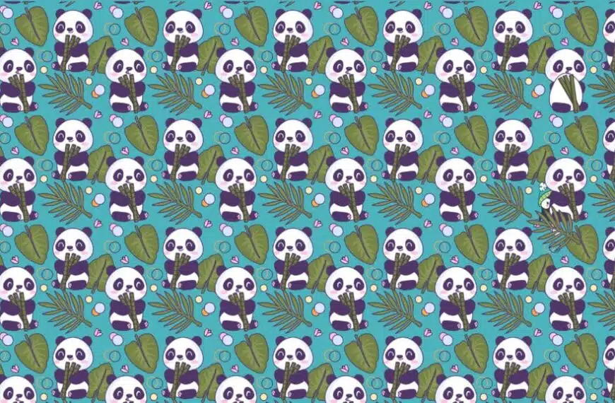Enigma visivo: cercate di trovare il pinguino tra i panda, se ci riuscite!