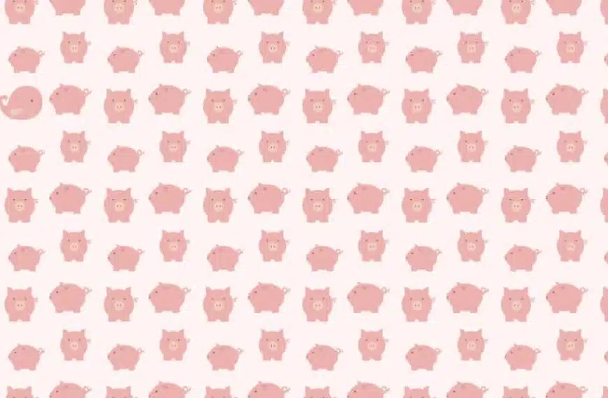 Puzzle visivo: se hai una buona vista, trova dove si nasconde la balena in questa immagine.
