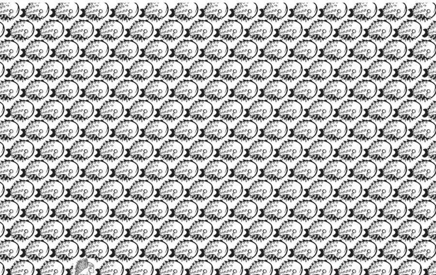 Illusione ottica: Riesci a trovare il porcospino tra i pesci in 8 secondi?