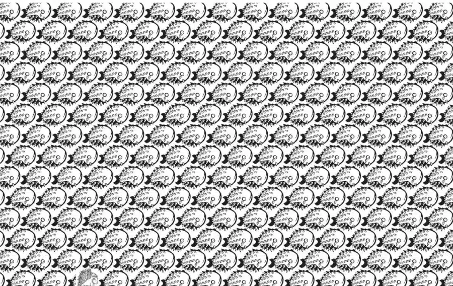 Illusione ottica: Riesci a trovare il porcospino tra i pesci in 8 secondi?
