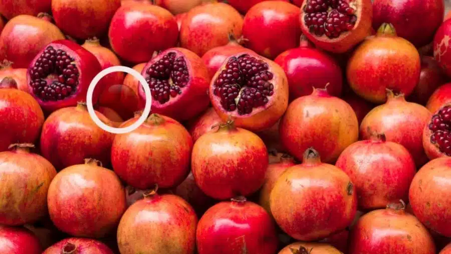 Illusione ottica: Riesci a trovare la palla nascosta in 10 secondi? Spiegazione e soluzione dell'illusione della palla nascosta