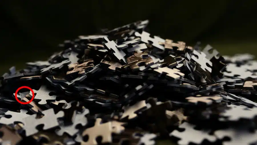 Illusione ottica: Riesci a trovare le carte da gioco in 12 secondi per completare la sfida?