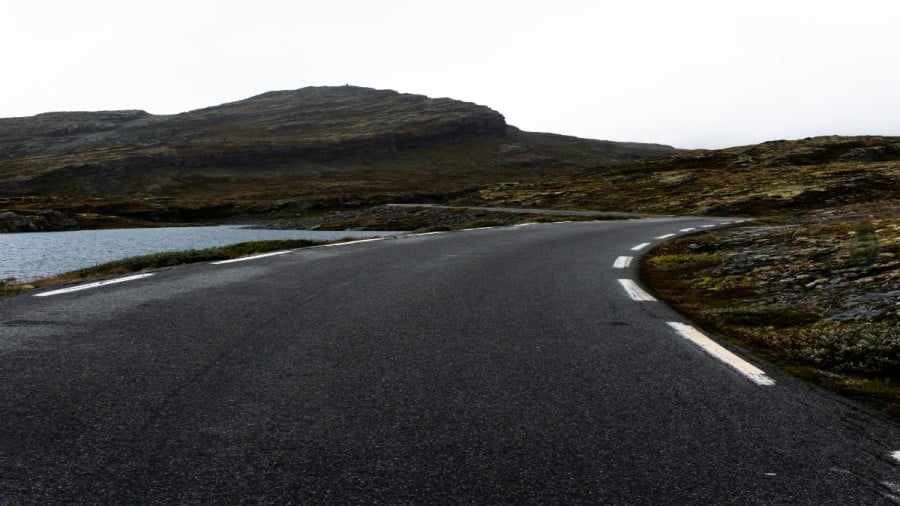Illusione ottica: Riesci a trovare l'avocado in 12 secondi per completare la sfida?