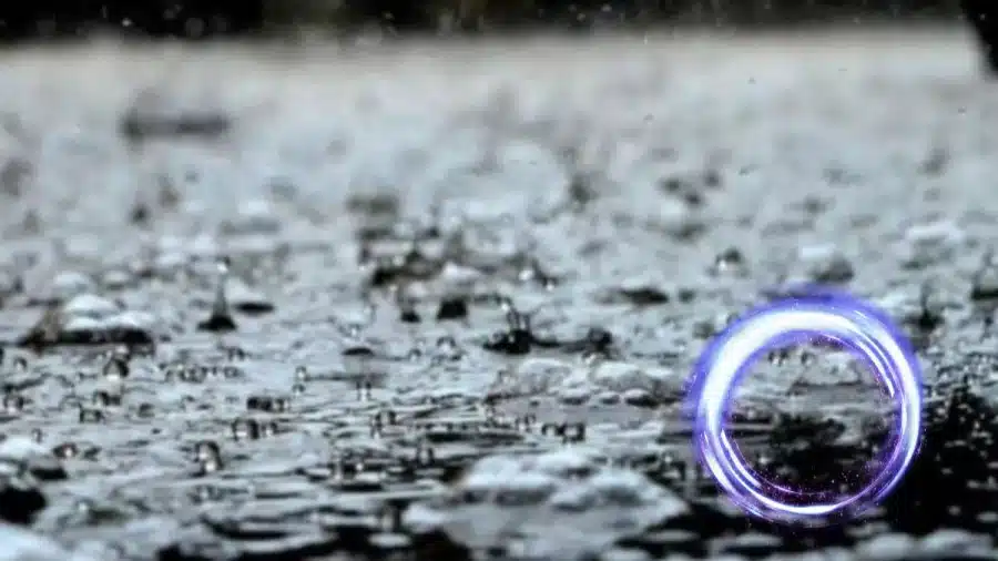 Illusione ottica: Se hai occhi d'aquila, trova la rana nascosta in 10 secondi