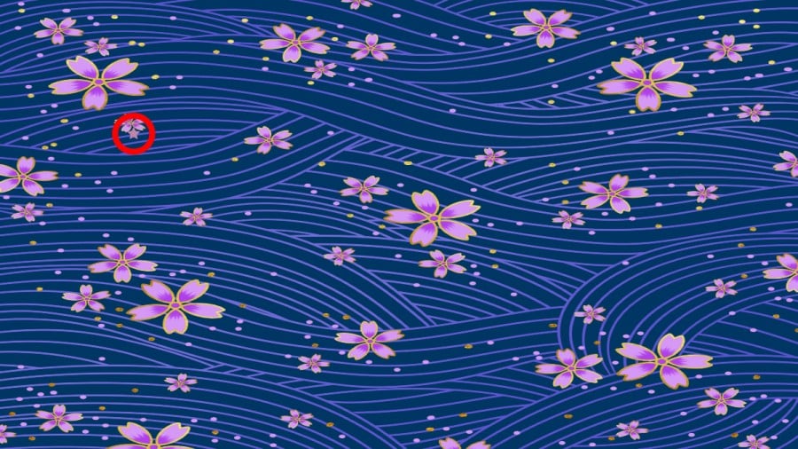 Illusione ottica: Se hai gli occhi acuti, trova le stelle nascoste in 10 secondi