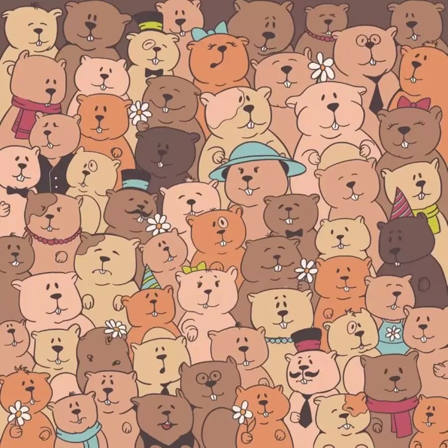 Illusione ottica: Se avete occhi acuti, riuscite a trovare la patata nascosta in 15 secondi? Illusione ottica: Se avessi occhi acuti, riusciresti a trovare la patata nascosta in 15 secondi?