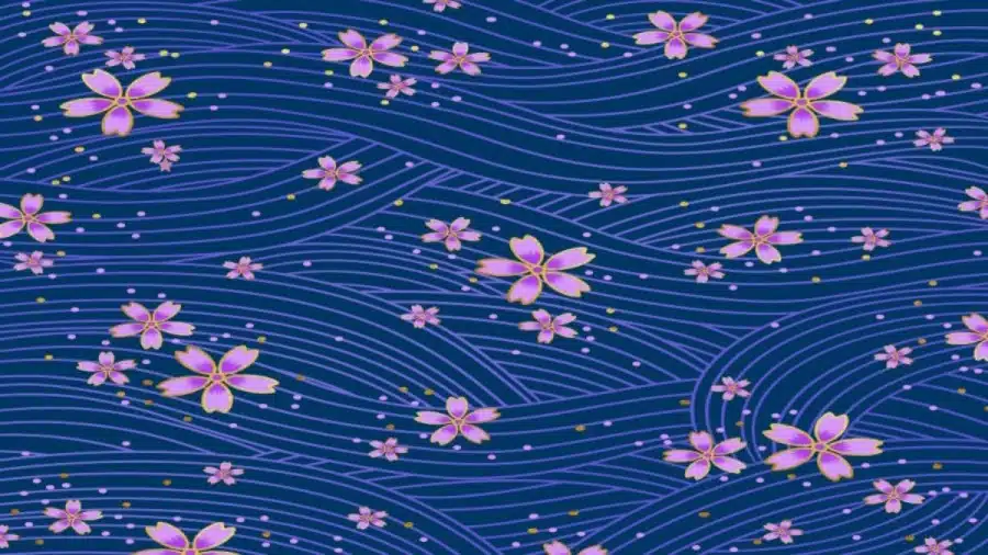 Illusione ottica: Se hai occhi d'aquila, trova le stelle nascoste in 10 secondi