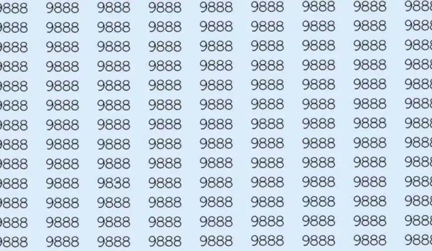 Illusione ottica: Se hai occhi di falco trovi 9838 tra 9888 in 8 secondi?