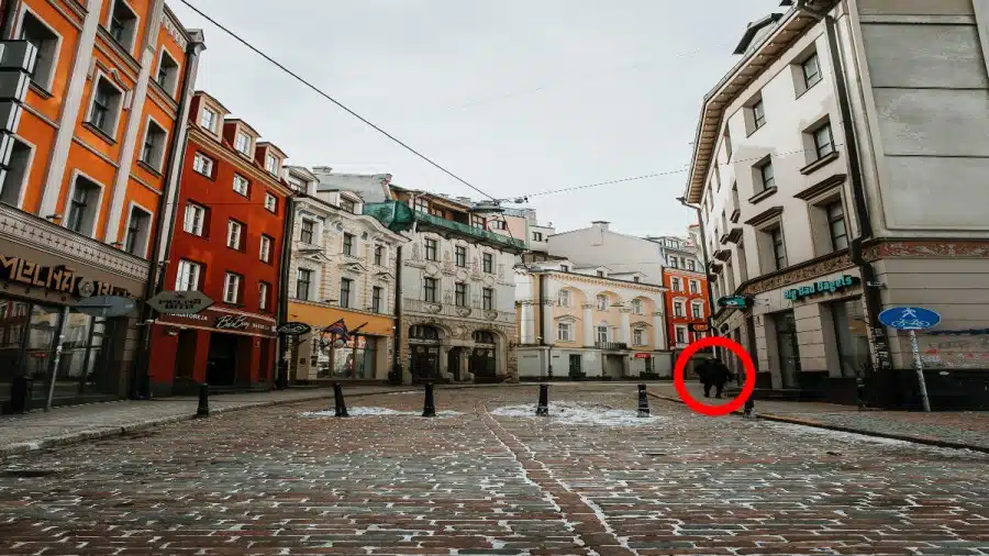 Illusione ottica: Se hai una buona vista, individua l'agente di polizia nascosto in 12 secondi