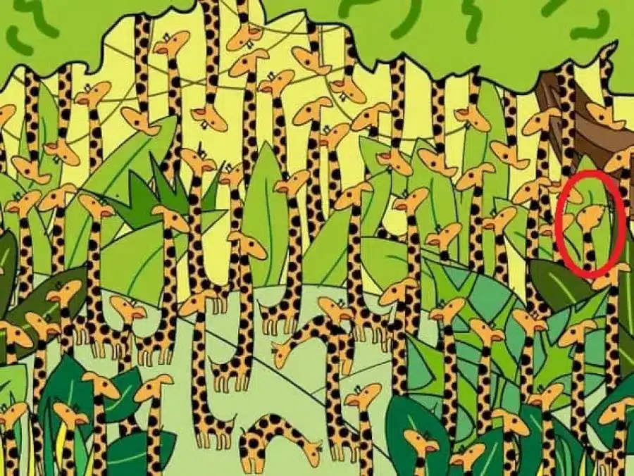 Illusione ottica del test del QI: Riesci a trovare il serpente tra le giraffe in 15 secondi?