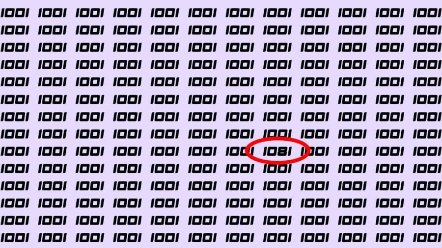 Riesci a trovare 1081 su 1001 in 30 secondi? Illusioni ottiche Spiegazioni e soluzioni