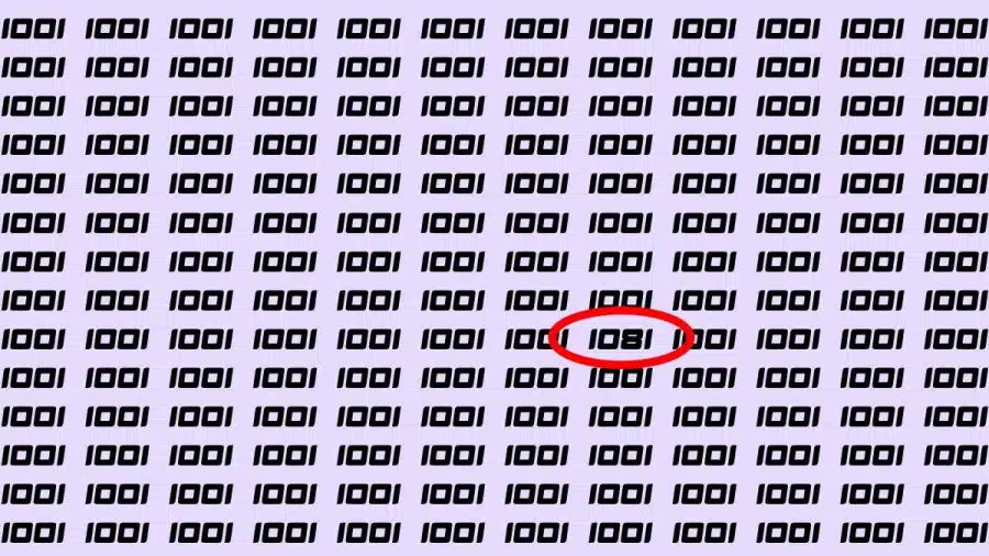Riesci a trovare 1081 su 1001 in 30 secondi? Illusioni ottiche Spiegazioni e soluzioni