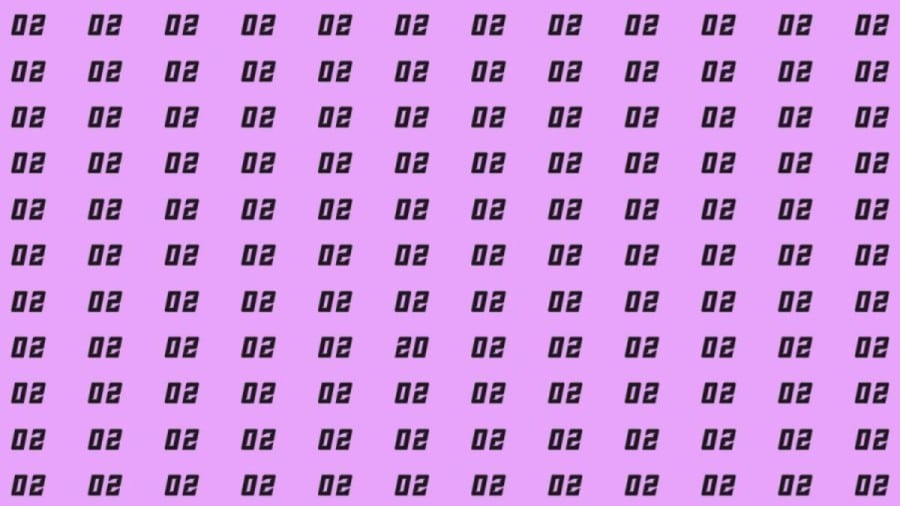 Riesci a trovare 20 su 02 in 10 secondi? Illusioni ottiche Spiegazioni e soluzioni