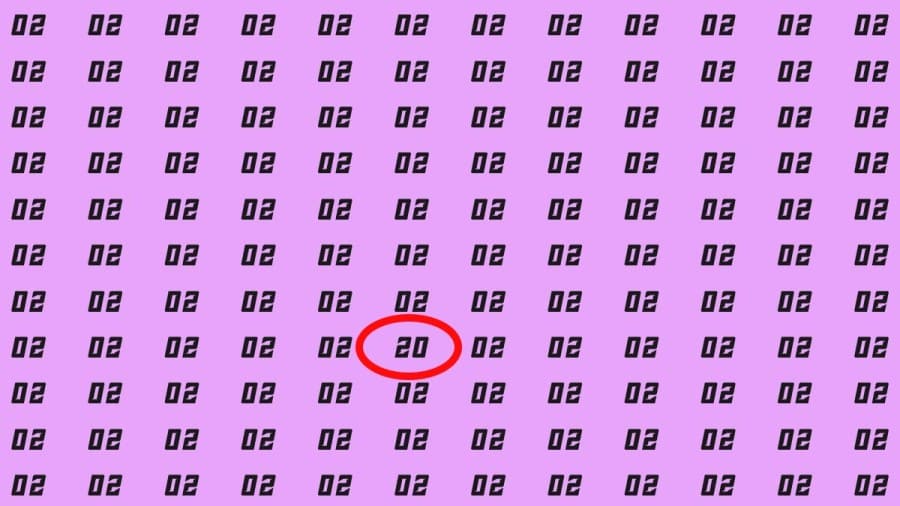 Riesci a trovare 20 su 02 in 10 secondi? Illusioni ottiche Spiegazioni e soluzioni
