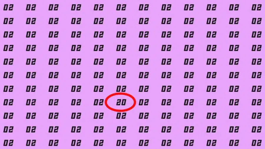 Riesci a trovare 20 su 02 in 10 secondi? Illusioni ottiche Spiegazioni e soluzioni