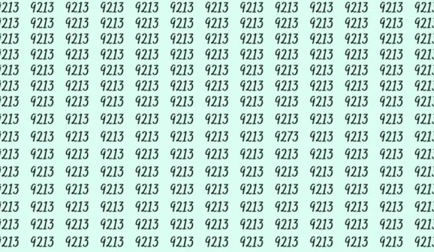 Riesci a individuare 9273 tra 9213 in 15 secondi? Spiegazione e soluzione dell’illusione ottica
