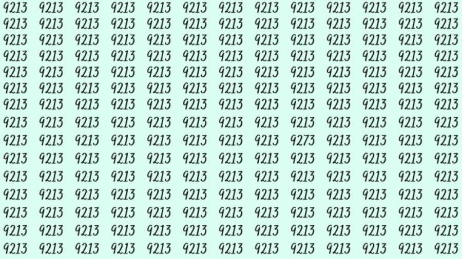 Riesci a trovare 9273 da 9213 in 15 secondi? Illusioni ottiche Spiegazioni e soluzioni