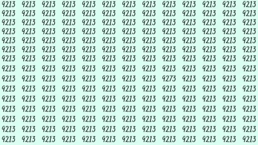Riesci a trovare 9273 da 9213 in 15 secondi? Illusioni ottiche Spiegazioni e soluzioni