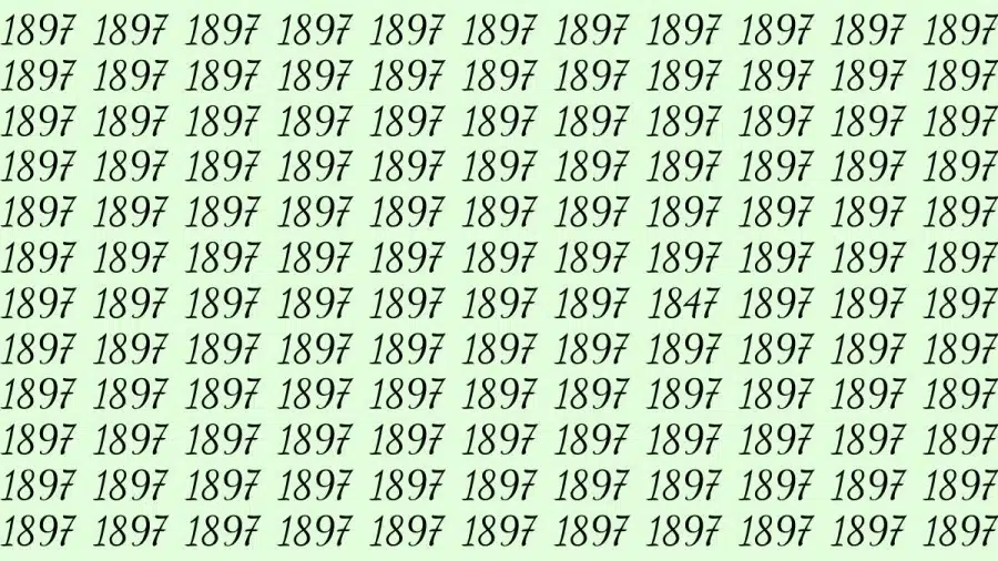 Riesci a trovare 1847 su 1897 in 30 secondi? Illusioni ottiche Spiegazioni e soluzioni