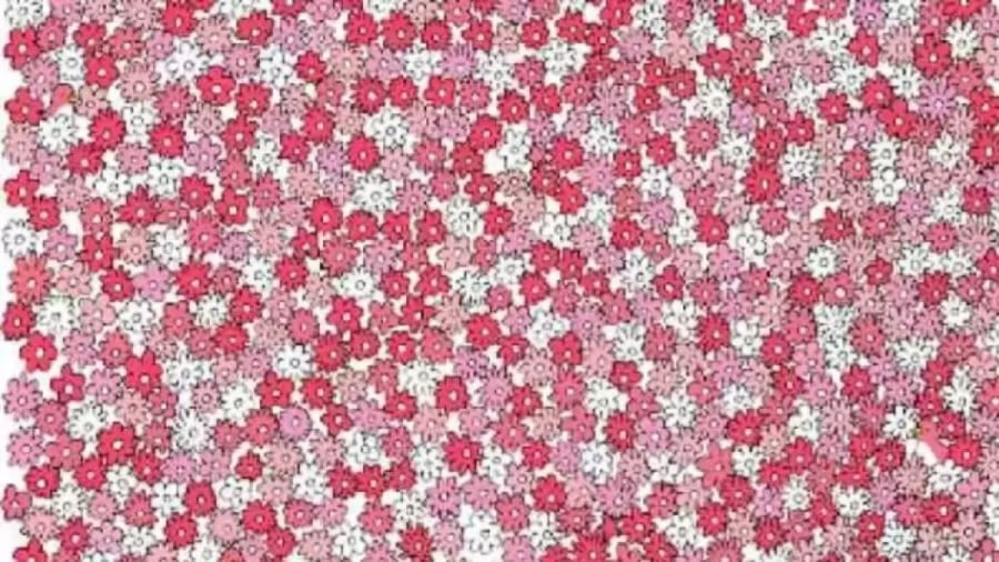 Riesci a trovare l'anatra tra i fiori in 10 secondi? Illusioni ottiche Spiegazioni e soluzioni